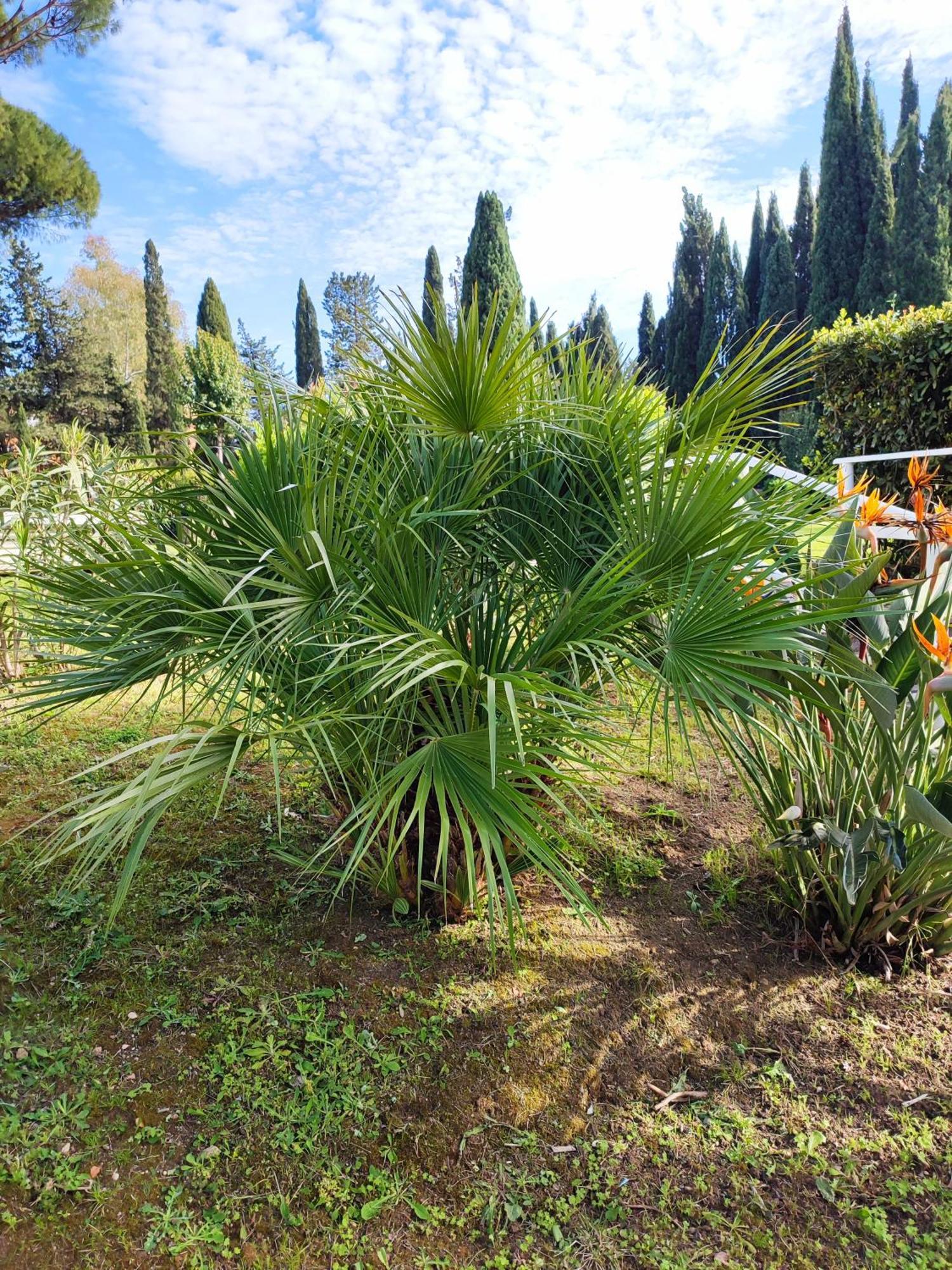 Green Nest Rom Exterior foto